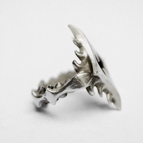 insacrity_shoot_03082025_cropcolor_76